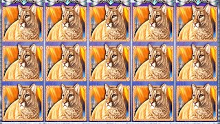 SLOTS CLASSIC WOLF RIDGE