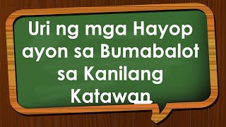Mga Uri Ng Mga Hayop Ayon Sa Bumabalot Sa Kanilang Katawan