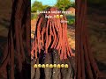 Gトアzzz O Saテァlar Neyyy Gトアzzz 宖岏宖ォ Vlog Funny Viralvideo Kesvet Mizahamaテァlトアdトアr Gトアzzz O Saテァlar Neyyy Gトアzzz 宖岏宖ォ Vlog Funny Viralvideo Kesvet Mizahamaテァlトアdトアr