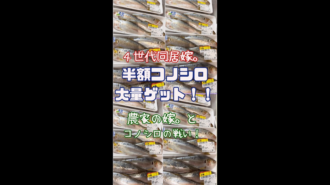 コノシロを半額でゲット！！編