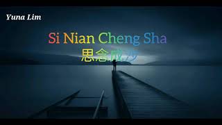 Si Nian Cheng Sha  思念成沙 (wang yun 王韵) Lyrics pinyin