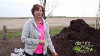 Mushroom Compost
