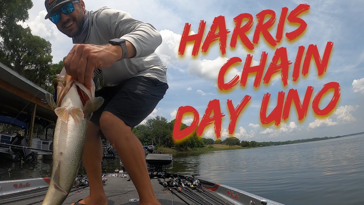 MLF Toyota Series Harris Chain Day 1 - YouTube