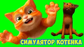 СИМУЛЯТОР КОТЕНКА Играю в виртуального котика в игре Kitten Life Simulator