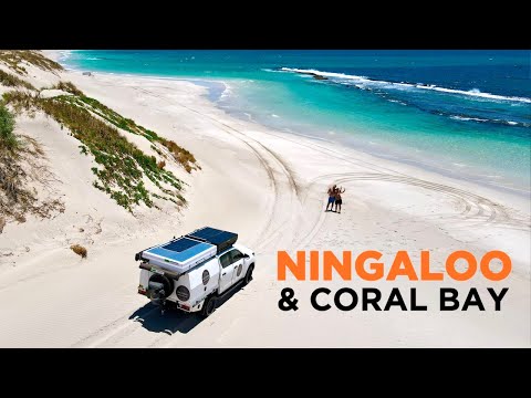 NINGALOO REEF, AUSTRALIA - Better than GREAT BARRIER? Road Trip CORAL BAY