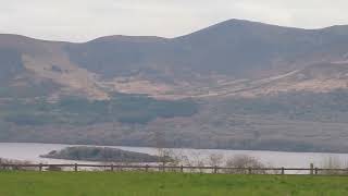 Killarney park 