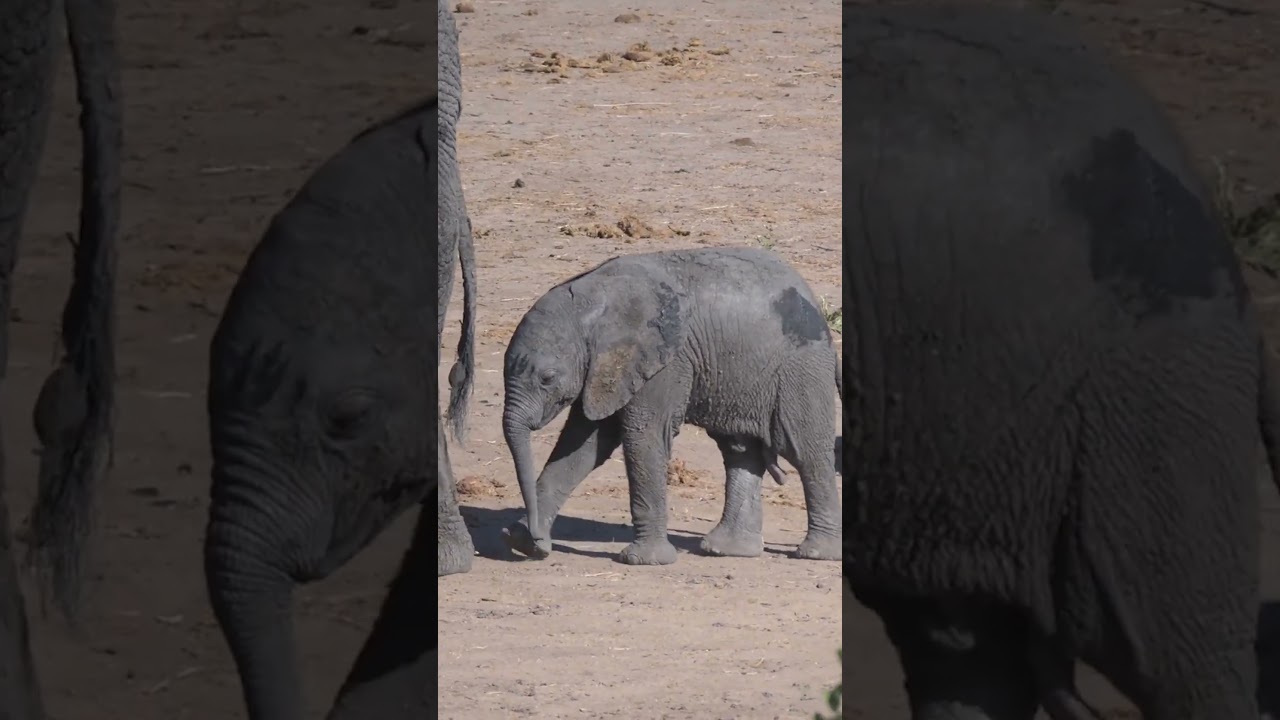 Celebrating Mothers of All Kinds