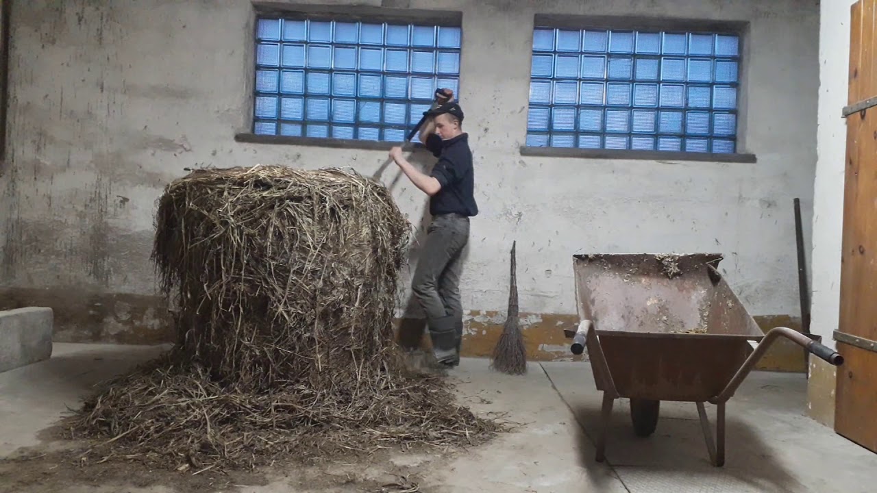 Codzienne Obowiązki 2020 :)))