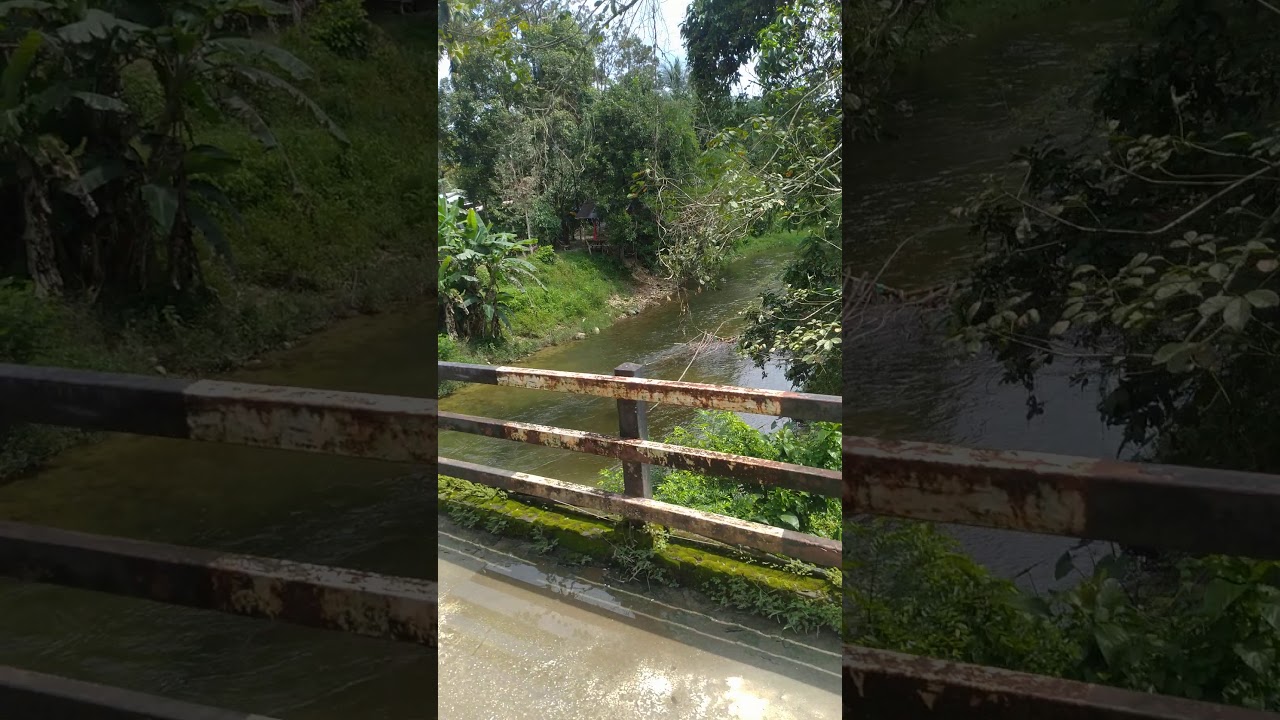 Casting sebarau di sungai sedim