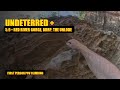 Undeterred 5.9+ - Red River Gorge, BRRP, The Unlode
