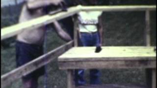 Delavan July 4 1981