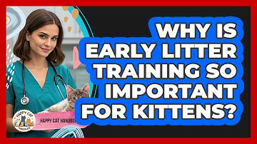 Why Is Early Litter Training So Important For Kittens? - Happy Cat Handbook