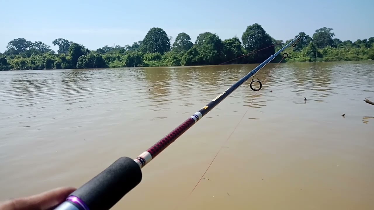 singgarek kampar joss