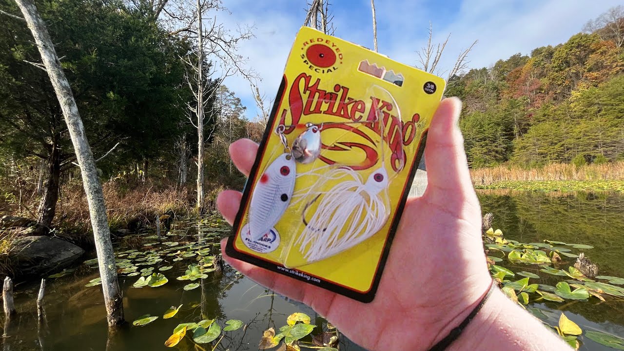 Spinner Bait ONLY Fishing Challenge (Fall Time Bass Fishing)