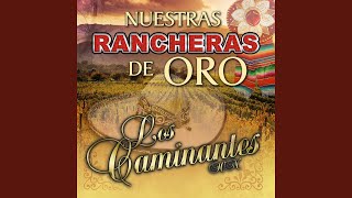Video thumbnail of "Los Caminantes HN - No Volvere"