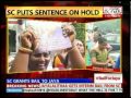 AIADMK chief Jayalalithaa granted bail