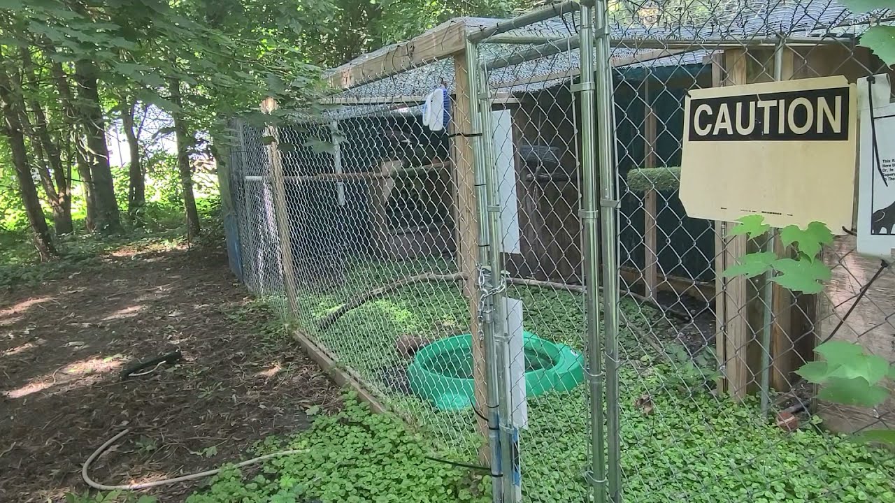 The Selective Bred Difference