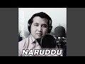 NARUDDU Remastered 2026
