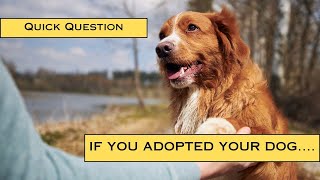 Question for Dog Owners...