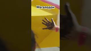 Мегалодон русский трейлер #трейлер #cinematic #freshtrailers #trailer #kino #new #трейлер2023