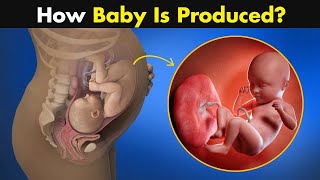 Birth | Definition, Stages, Complications, & Facts