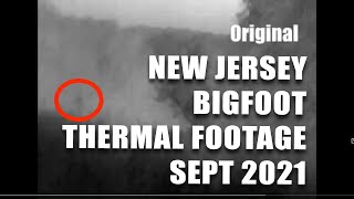 BIGFOOT IN NEW JERSEY?  9/2021 NEW VIDEO
