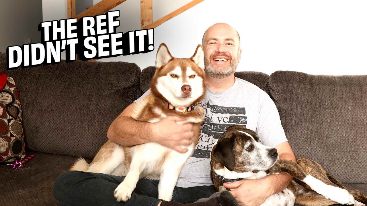An important message from Kayfabe Colin, the Kayfabe Canines, and Oprah