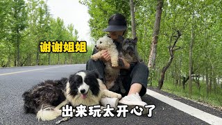 粉絲姐姐為小院送上大禮毛孩子們開心極了爭先恐後想要嘗試