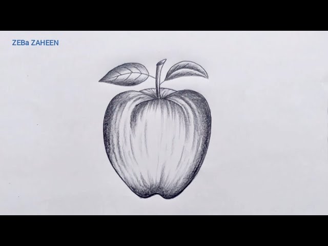 Apple Drawing with Pencil - How to draw an Apple Step by Step - Apple  Drawing by Pencil easy with this how-to video and step-by-step drawing  instructions. Fruit…