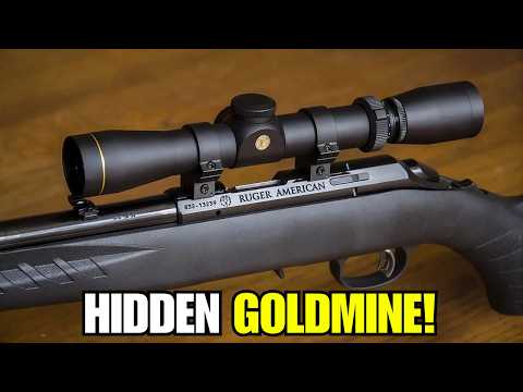 5 CHEAP GUNS EVERYONE IGNORES (But These 5 Guns Are Absolute Goldmines)