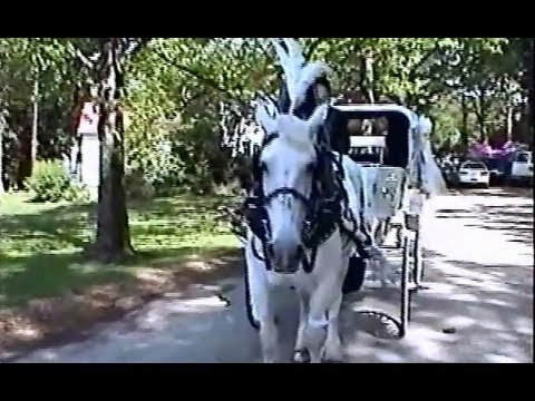 Horse and Carriage -- Wedding Carriage -- Victorian Carriage 3a -- Carriage LimLimousineine Service