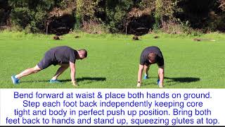 Beginner Burpees (Modified Burpees)