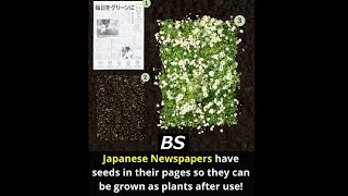 Japanese Newspapers Have Seeds in Their Pages MYTH !!