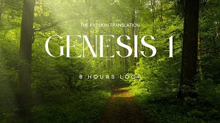 GENESIS 1 | THE PASSION TRANSLATION (TPT) | 8H | AUDIO BIBLE | DARK SCREEN