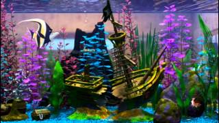 Aquarium From Finding Nemo Loop