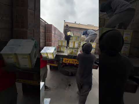 خالی کردن ۴ تن روغن با ۴ کارگر ماهریعنی تخصص یعنی تیم