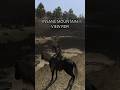Mountain view rdr2 mobile netflix #rdr2 #rdr2gameplay #rdrmobile #gaming #reddeadredemption