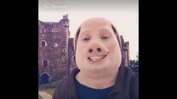 (Monday left me broken) Cat vs John pork #legendary #memes #crazy