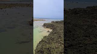 Details Chattan beach of Little Andaman #beautiful #tour Guide