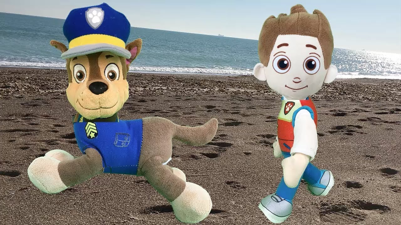 playa mujeres Juguetes paw patrol español: chase y bebe entrenamiento en la playa. Nuevo video patrulla canina