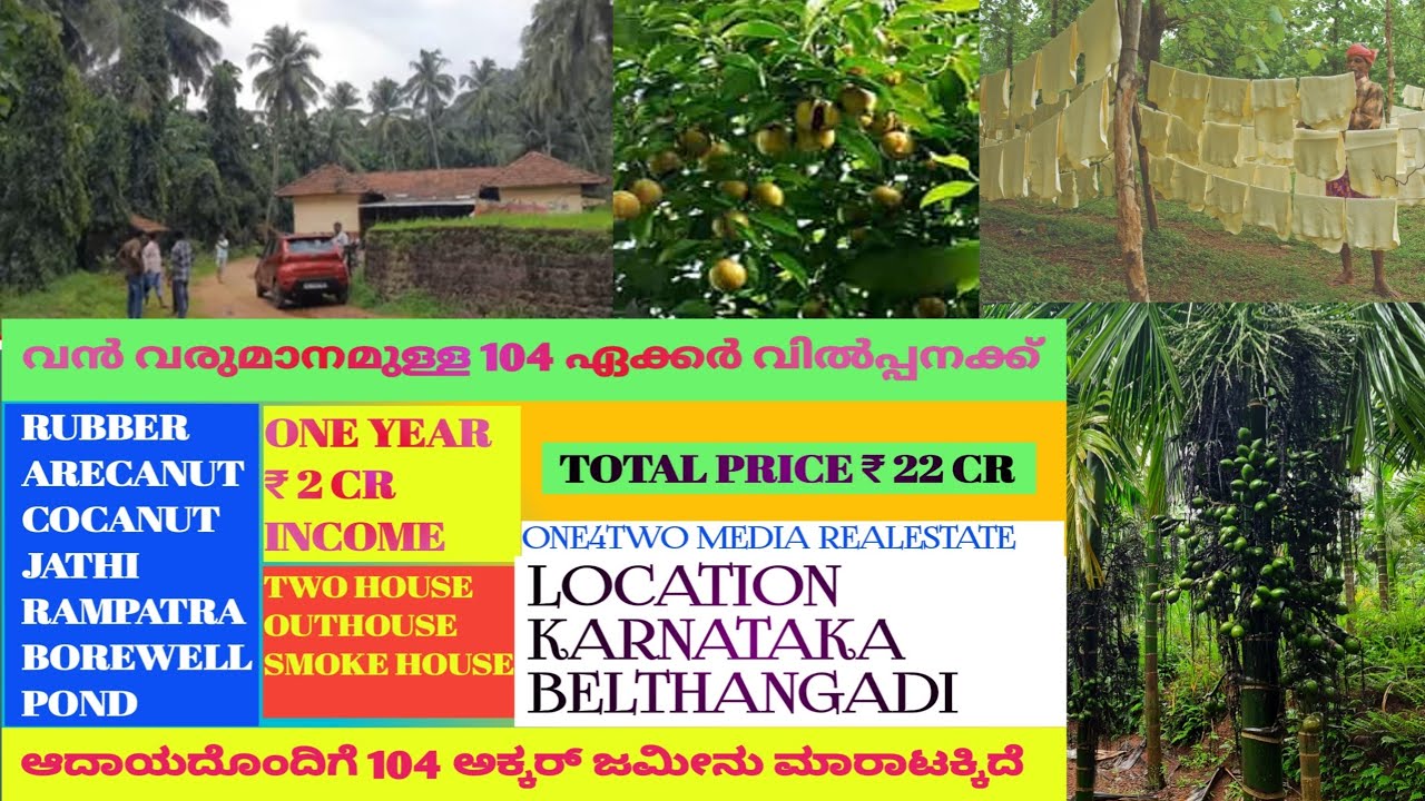 104 ഏക്കർ വിൽപ്പനക്ക് /104 ಎಕರೆ ಜಮೀನು ಮಾರಾಟಕ್ಕಿದೆ#realestate