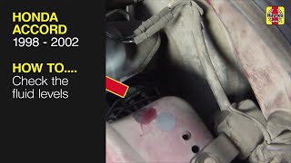 How to Check the fluid levels on the Honda Accord 1998 to 2002