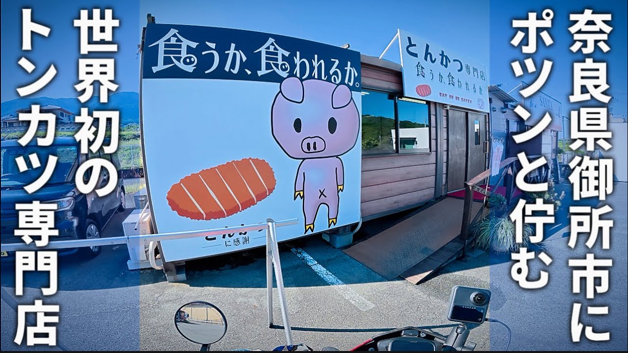 金の豚 鳴く縁起・豚 金の豚 BOO 大サイズ 己亥（つちのとい）年・2019年