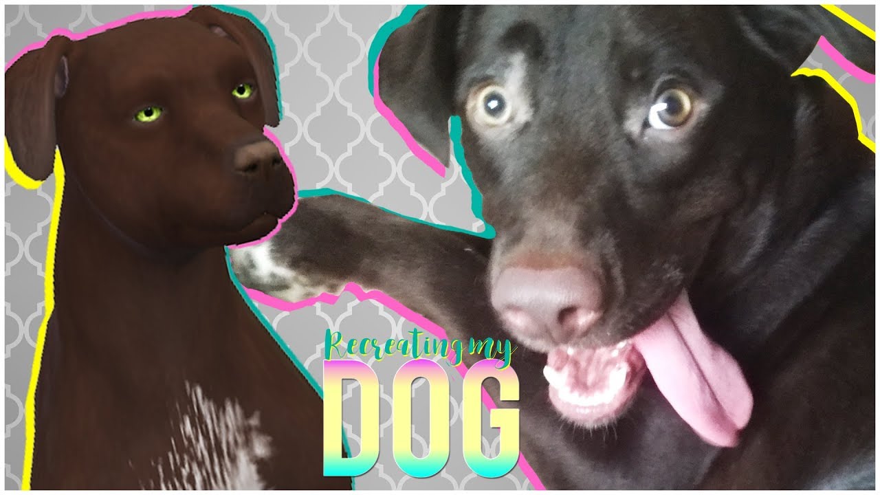 Sims 4 How To Make Dogs Breed