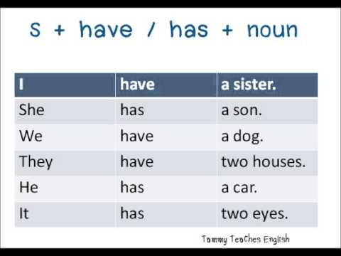Learning English: หลักการใช้ Verb To Have
