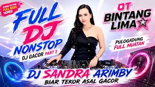 FULL MUATAN - DJ SANDRA ARIMBY ❗ PULOGADUNG TERBANG  ❗ REMIX KENCANG 2026 ❗  BINTANG LIMA