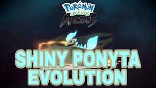 Ponyta Evolution Pokemon Legends Arceus