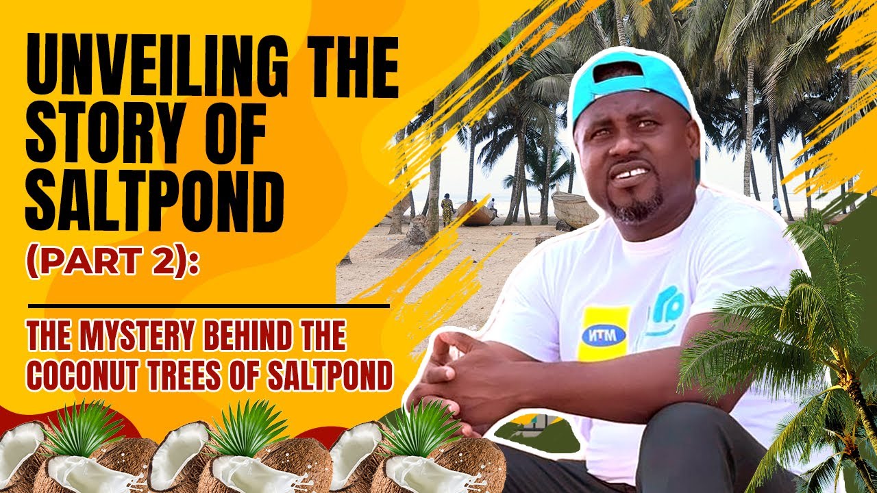 The Mystery behind the Coconut Trees of Saltpond