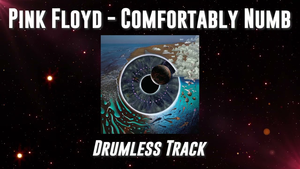 Pink Floyd - Comfortably Numb (live) 