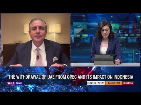 UAE’S WITHDRAWAL FROM OPEC AND ITS IMPACT ON INDONESIA - YouTube